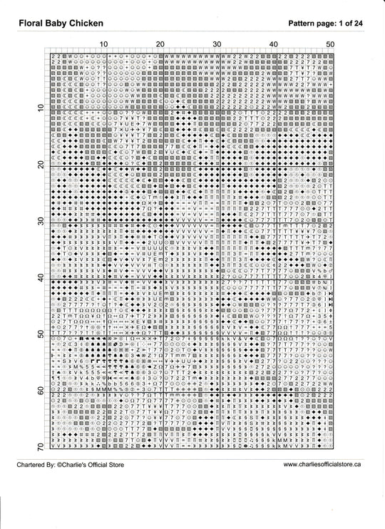 Counted Cross Stitch - Floral Baby Chicken - Digital Download PDF download file (Copy) Charlie's Official Store