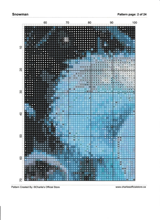 Counted Cross Stitch Snowman Full Coverage Digital Download PDF File Charlie's Official Store