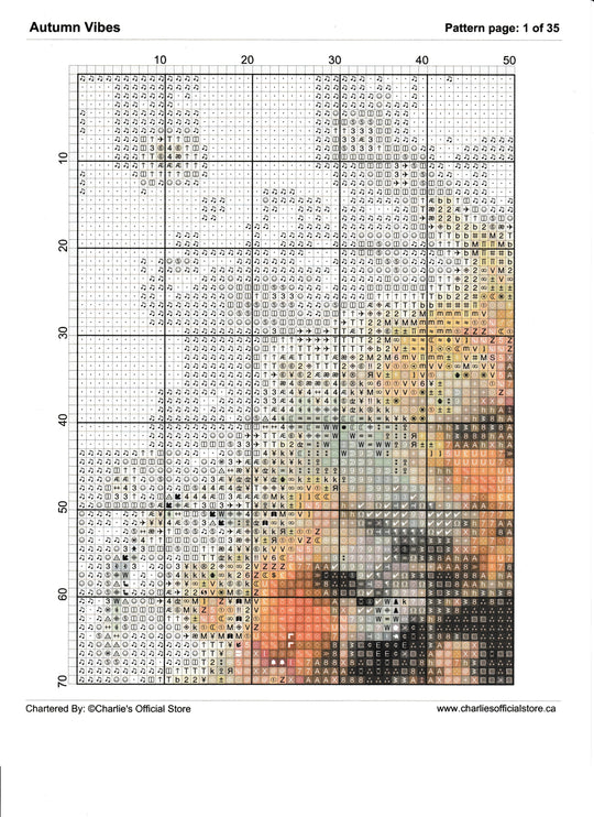 Counted Cross Stitch - Autumn Vibes - Digital Downlod PDF (Copy) Charlie's Official Store