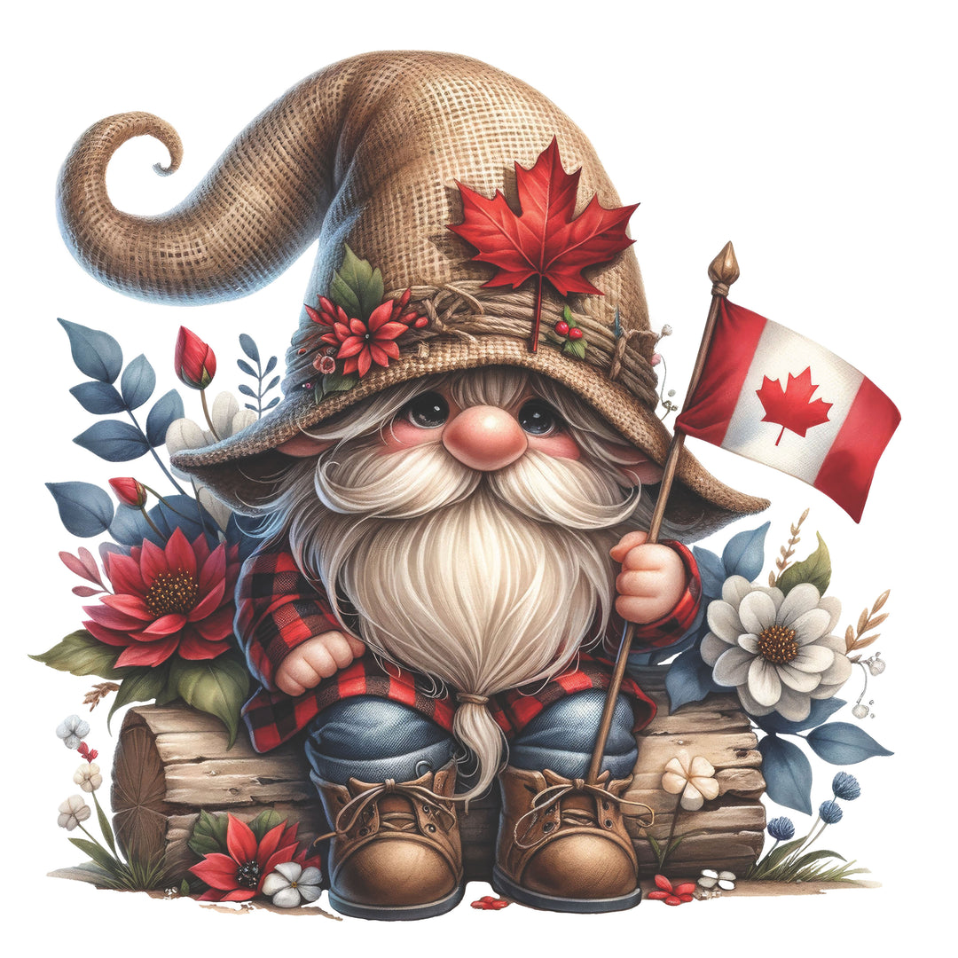 Counted Cross-Stitch Ccncdian Gnome Partial Coverage Digital Download PDF File Charlie's Official Store