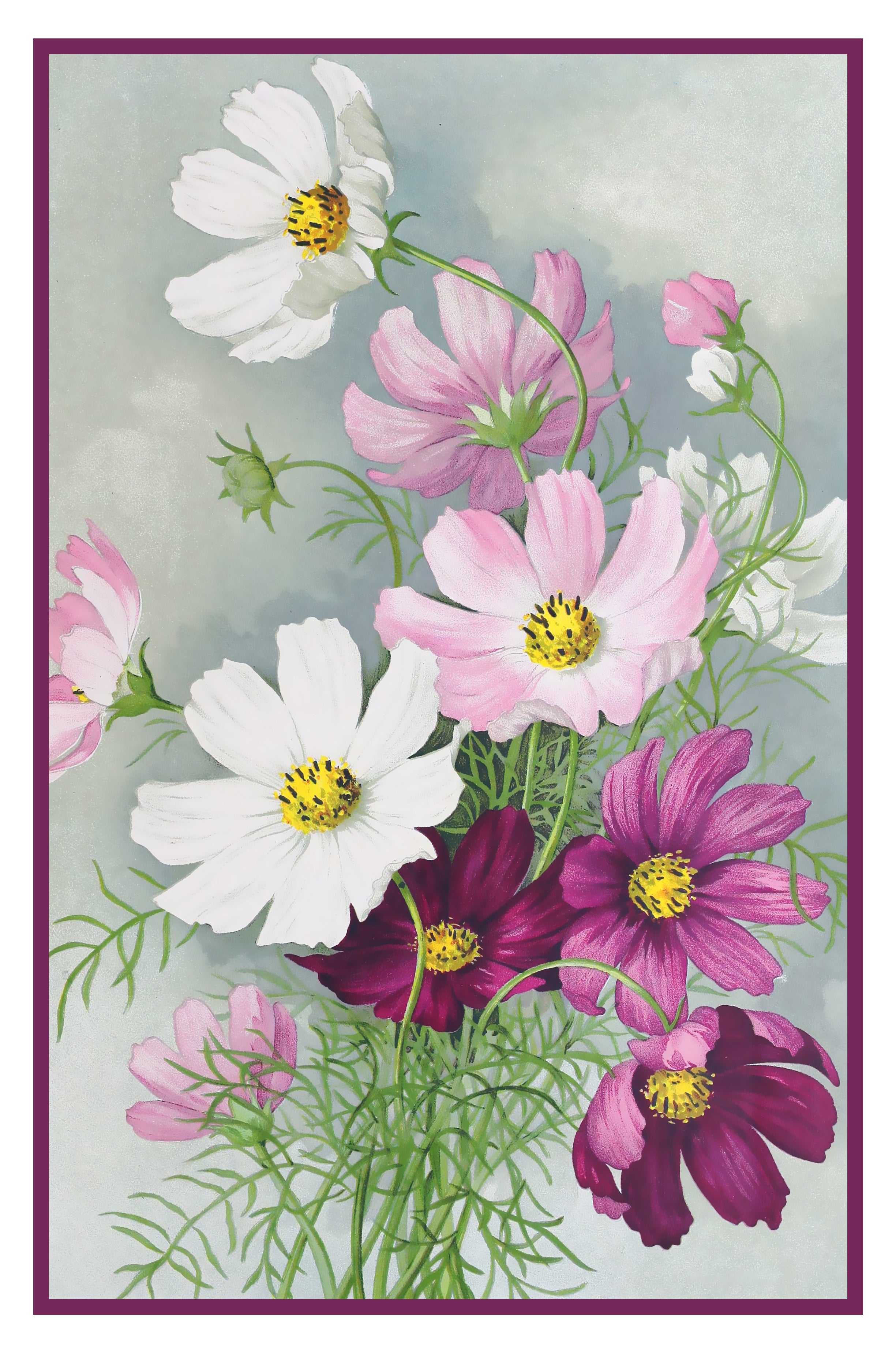 Cosmos Flowers Counted Cross-Stitch Digital Download - Charlie's Diamond Painting