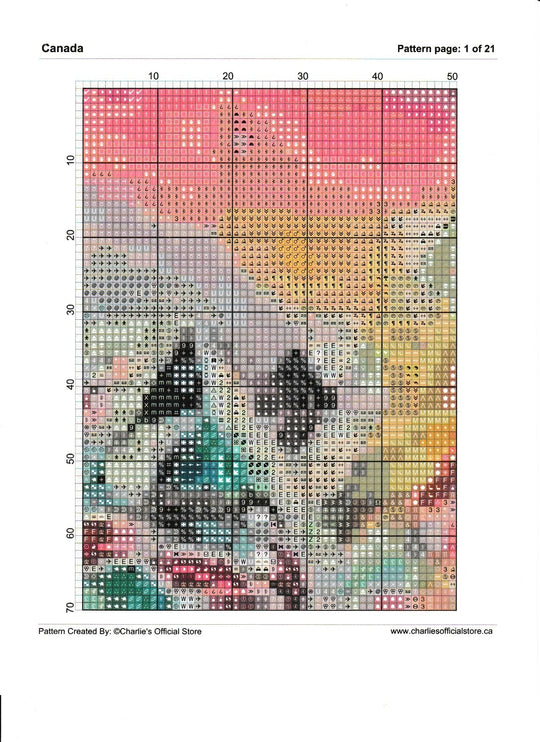 Counted Cross Stitch - Lady Bug #2 - Digital Download PDF download file Charlie's Official Store