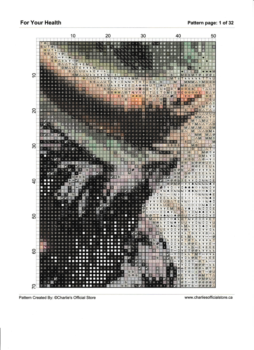 Counted Cross Stitch For Your Health Digital Download PDF Format Charlie's Official Store