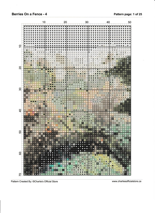 Counted Cross Stitch Berries On A Fence - 4  Digital Download Charlie's Official Store