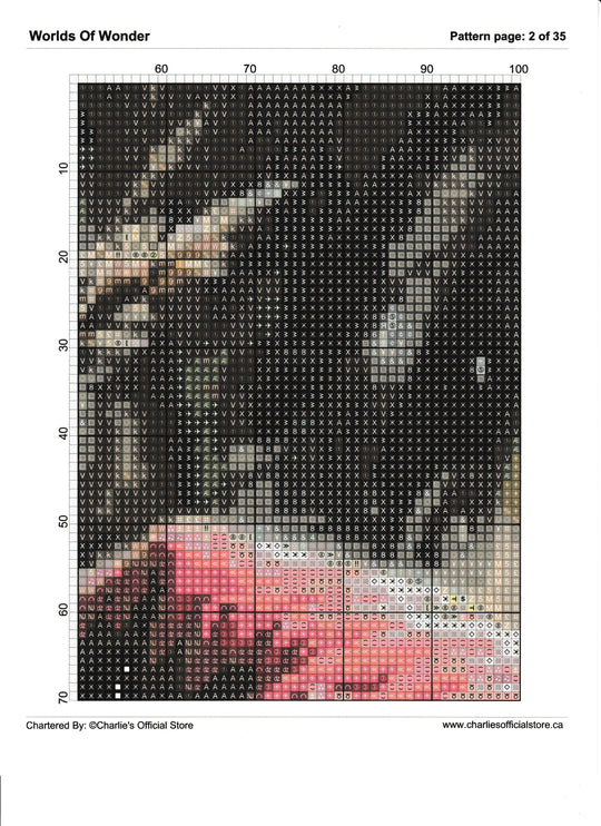 Counted Cross Stitch - Worlds Of Wonder - Digital Download PDF File Charlie's Official Store