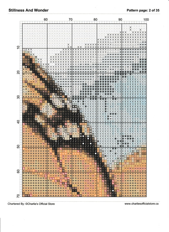 Counted Cross Stitch - Stillness And Wonder - Digital Download PDF File (Copy) Charlie's Official Store