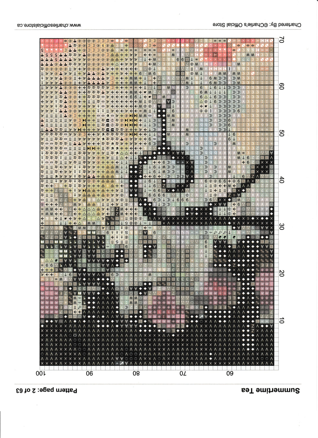 Counted Cross Stitch Summertime Tea Digital Download PDF File Charlie's Official Store