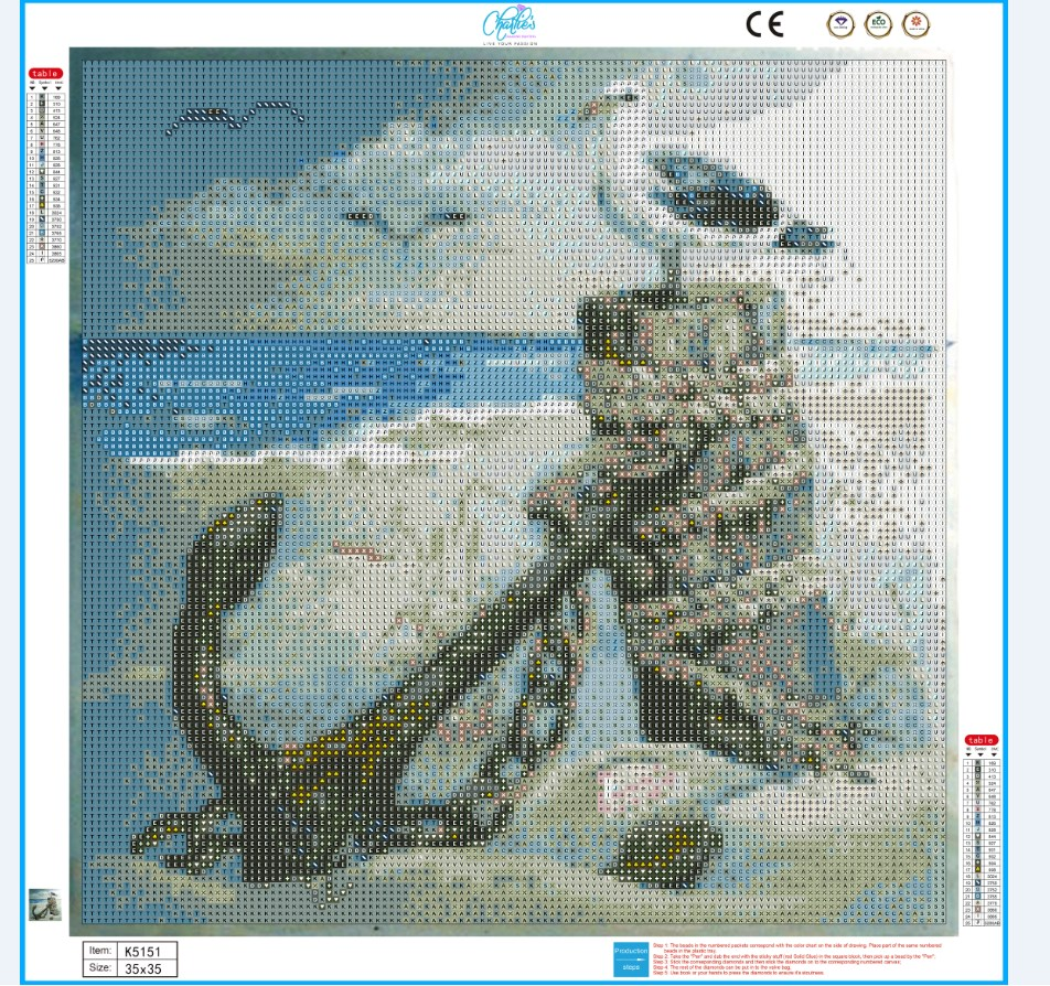 Diamond Painting Kit Seagull at the Beach 35*35cm - Charlie's Diamond Painting